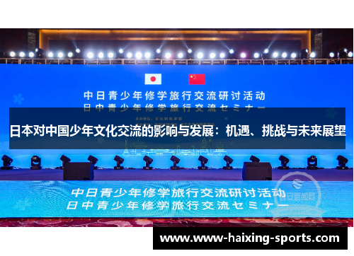 日本对中国少年文化交流的影响与发展：机遇、挑战与未来展望